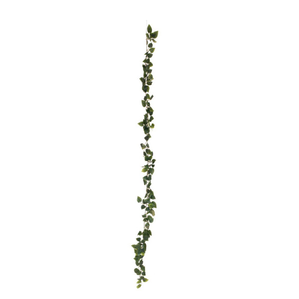 Europalms Philodendrongirlande Classic , künstlich, 180cm