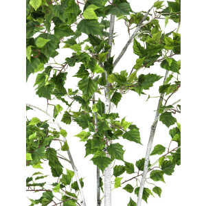 Europalms Birkenbaum, Kunstpflanze, 180cm