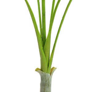 Europalms Areca deluxe, Kunstpflanze, 180cm