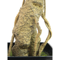 Europalms Steineibe, Kunstpflanze, 115cm