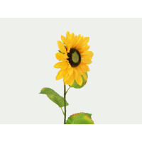 Europalms Sonnenblume, Kunstpflanze, 70cm