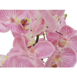 Europalms Orchideen-Arrangement (EVA), künstlich, lila