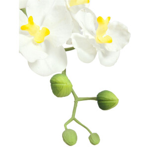 Europalms Orchideen-Arrangement 1, künstlich
