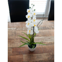 Europalms Orchideen-Arrangement 1, künstlich