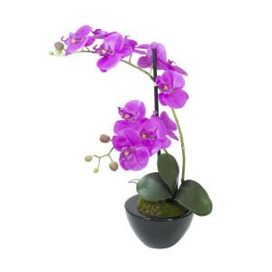 Europalms Orchideen-Arrangement 4, k&uuml;nstlich
