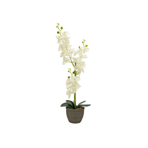 Europalms Orchidee, Kunstpflanze, cremefarben, 80cm