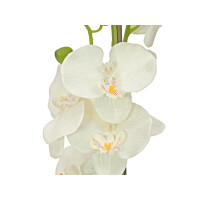Europalms Orchidee, Kunstpflanze, cremefarben, 80cm