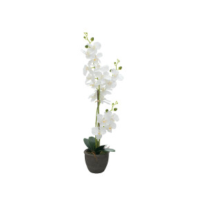 Europalms Orchidee, Kunstpflanze, wei&szlig;, 80cm