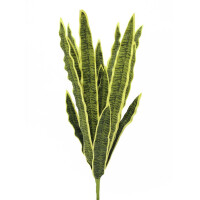 Europalms Sansevieria (EVA), künstlich, grün-gelb, 50cm