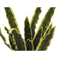 Europalms Sansevieria (EVA), künstlich, grün-gelb, 74cm