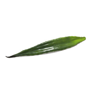 Europalms Aloeblatt (EVA), künstlich, grün, 60cm