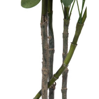 Europalms Schefflera, künstlich, 90cm