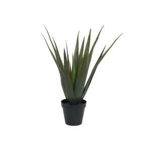 Europalms Aloe-Vera Pflanze, Kunstpflanze, 60cm