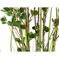 Europalms Immergrünstrauch mit Gras, Kunstpflanze, 182 cm