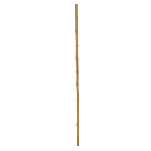 Europalms Bambusrohr, Ø=3cm, 200cm