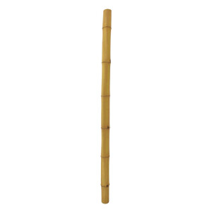 Europalms Bambusrohr, Ø=8cm, 200cm