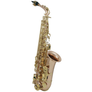 Pure Gewa Eb-Alt Saxophon Roy Benson AS-202G
