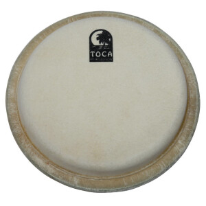 Toca Percussionfell Synergy Series TP-20110 10" Conga