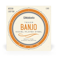 DAddario Banjo Nickel EJ63